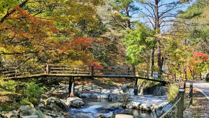 계곡-위를-지나는-등산로