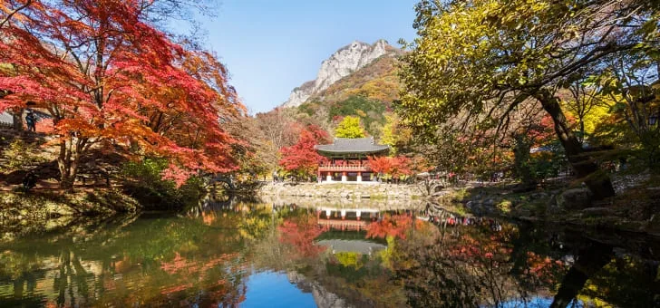 백양사-일대에-단풍이-물들어있다.