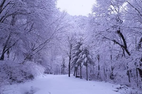 눈이-가득-쌓인-방태산