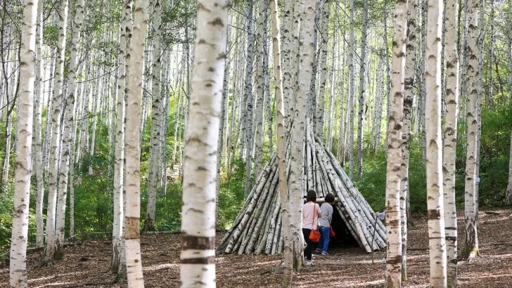 인제-자작나무숲-인디언텐트