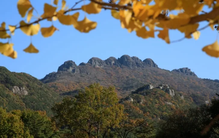 팔영산-정상-봉우리