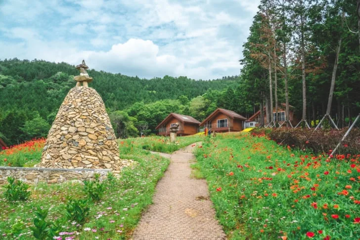 들꽃이-기득한-편백-치유의-숲-길