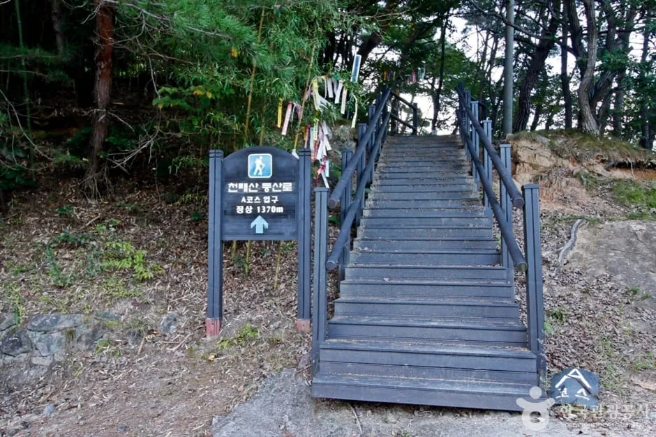 천태산-A코스-등산로-입구에-계단이-놓여있다.