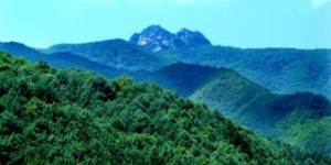 가리산-정상의-모습