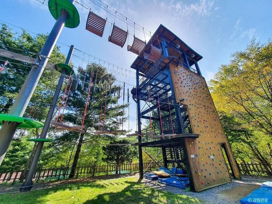 클라이밍과-공중다리-등-시설이-갖춰져-있다.