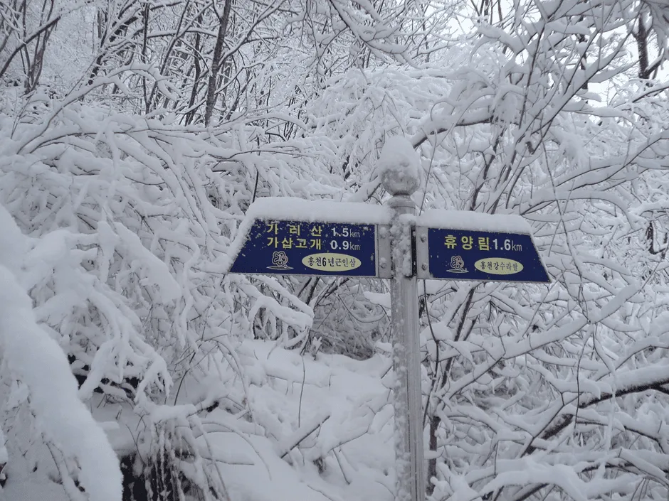 가리산-및-표지판-위에-눈이-가득-쌓였다.