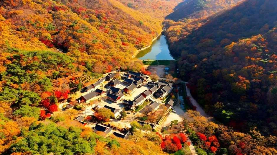 불갑사-주변에-알록달록-단풍이-가득하다.