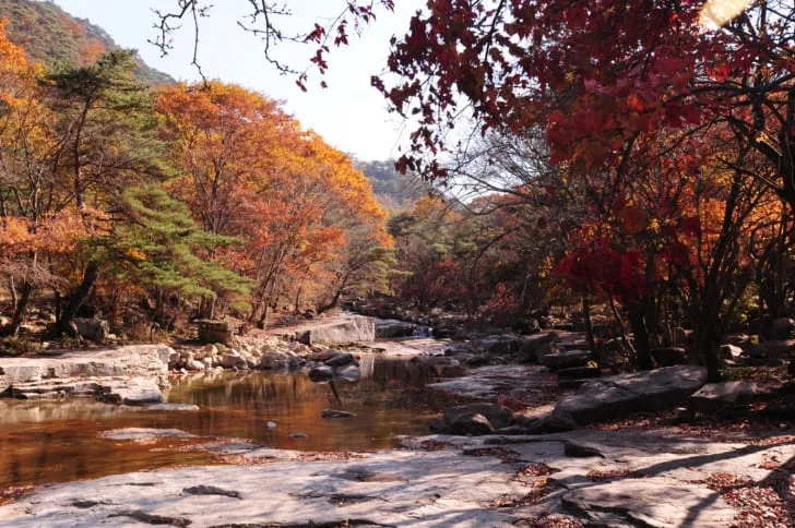단풍이-우거진-송계계곡