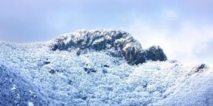 가지산-정상부에-눈꽃이-가득-피어있다.