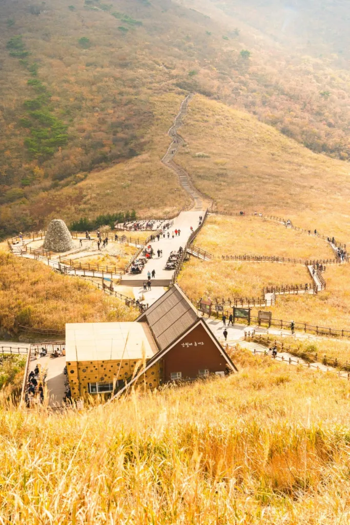 간월재-억새평원에-억새가-가득-피었다.