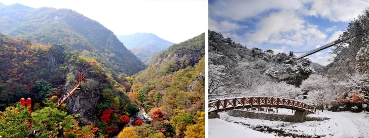 가을-단풍과-겨울-설경-속-강천산-구름다리의-모습이-각각-보여지고-있다.