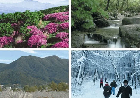 검단산의-사계절-풍경