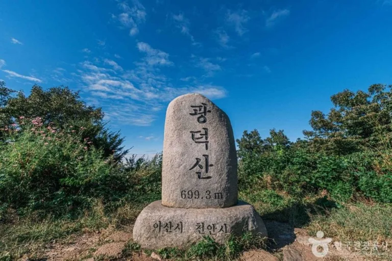 정상석에-광덕산-이름과-높이가-새겨져-있다.