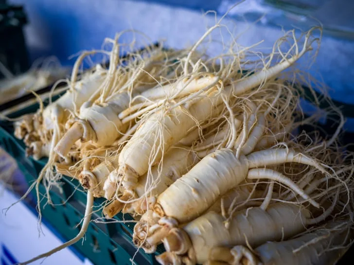 금산-인삼이-쌓여있다.