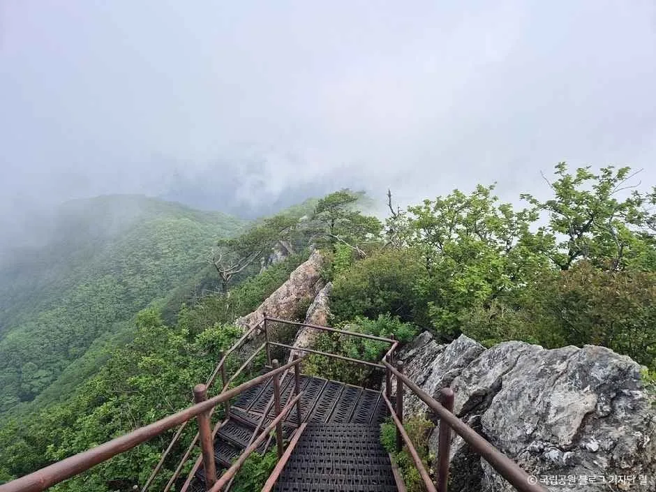 금수산-정상부에-아찔한-경사의-계단이-놓여있다.