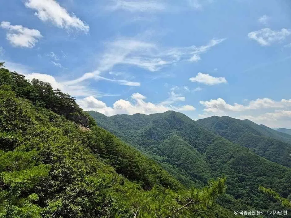 금수산-능선-전경