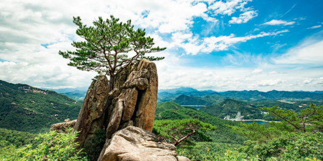 금수산-정상의-바위와-나무가-선명하게-보인다.