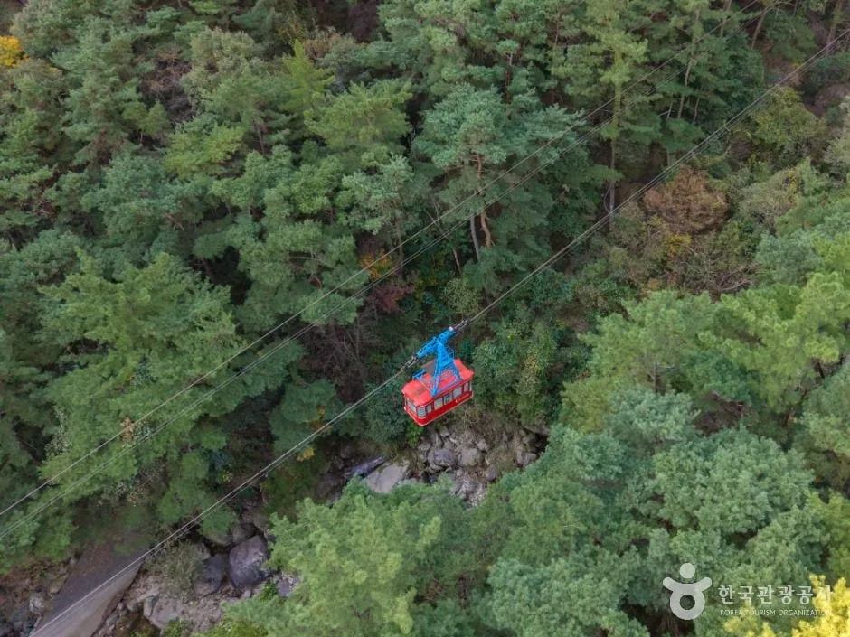 케이블카-캐빈이-금오산-위를-날아간다.
