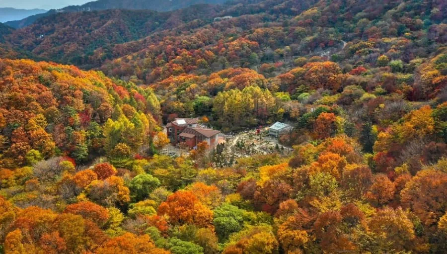 산군이-단풍으로-알록달록-물들었다.