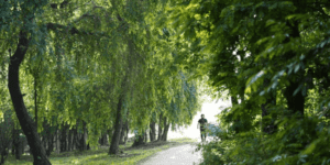 산길을-남자가-걷고-있다