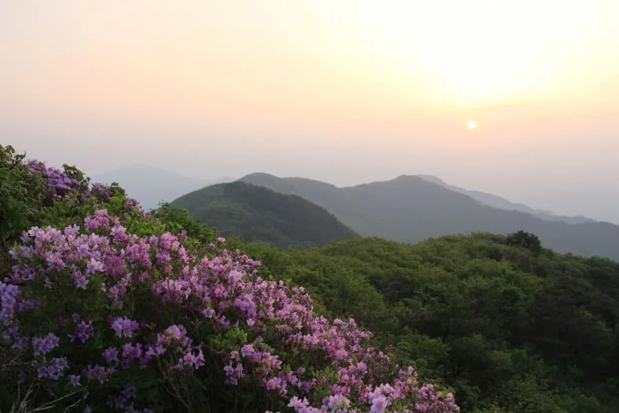 고리봉-및-일대-산군-위에-노을이-지고있다.