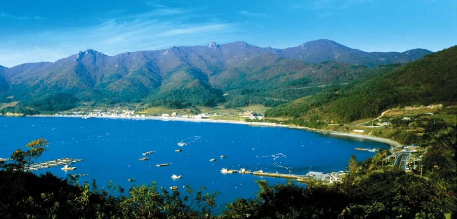 파란-바다와-산이-어우러진-풍경