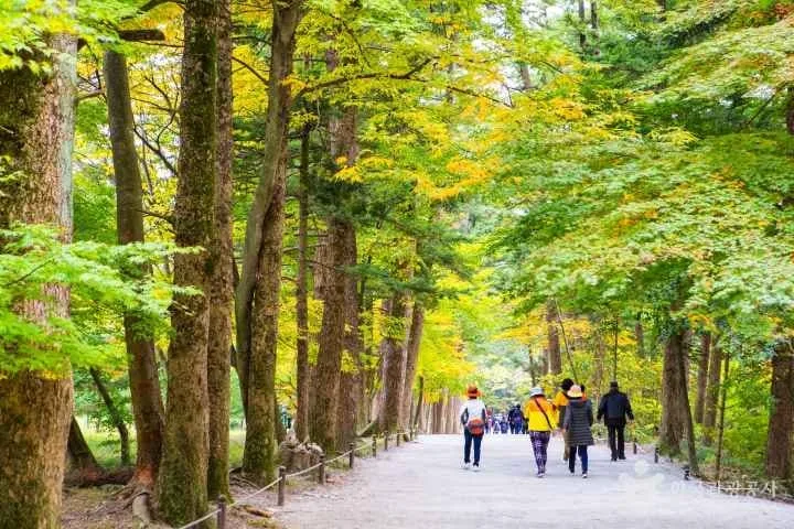 사람들이-내소사-숲길을-걸어간다.