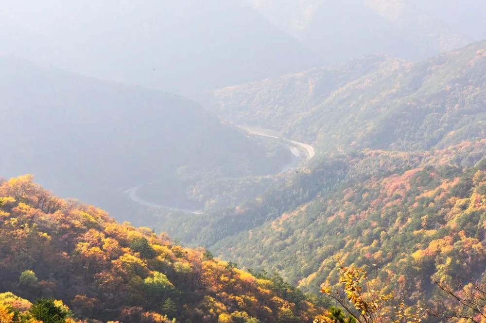노추산-곳곳에-단풍이-알록달록하다.