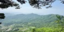대금산-능선이-한눈에-보인다.