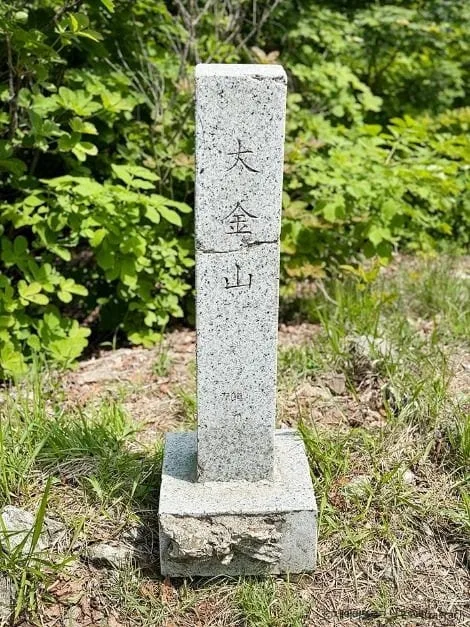 대금산-이름과-고도가-적힌-정상석
