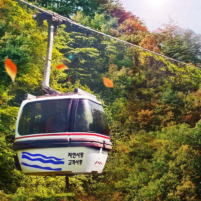곤돌라-캐빈이-산속을-지나간다.