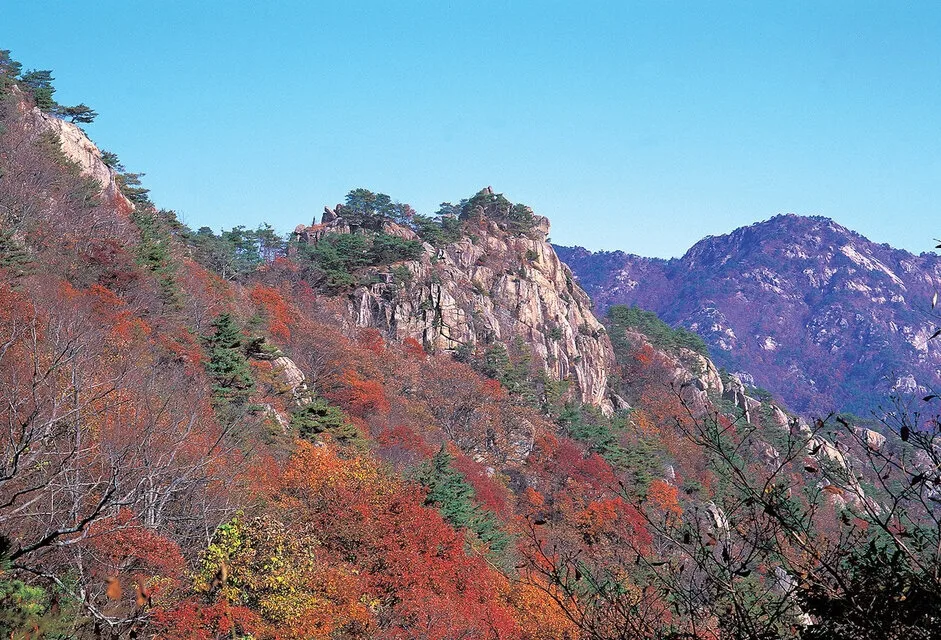 동악산-암릉에-단풍이-가득하다.