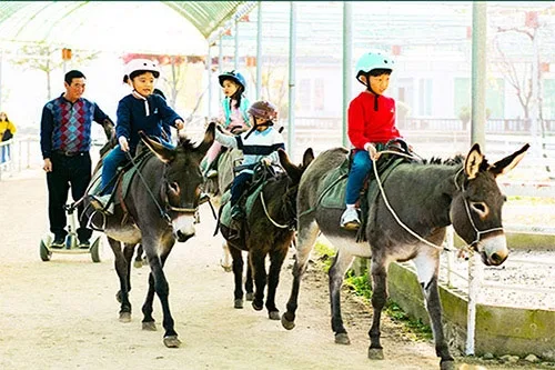 아이들이-당나귀를-타고-있다.