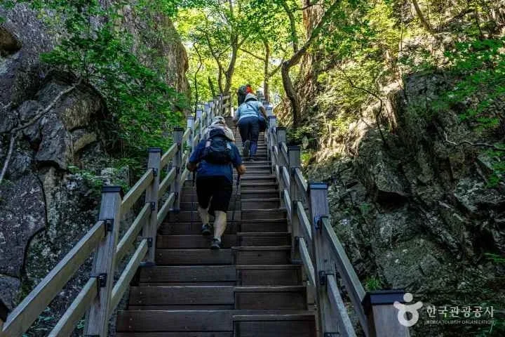 등산객들이-계단을-오르고-있다.