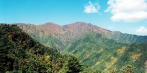 맑은날-두타산-정상-풍경