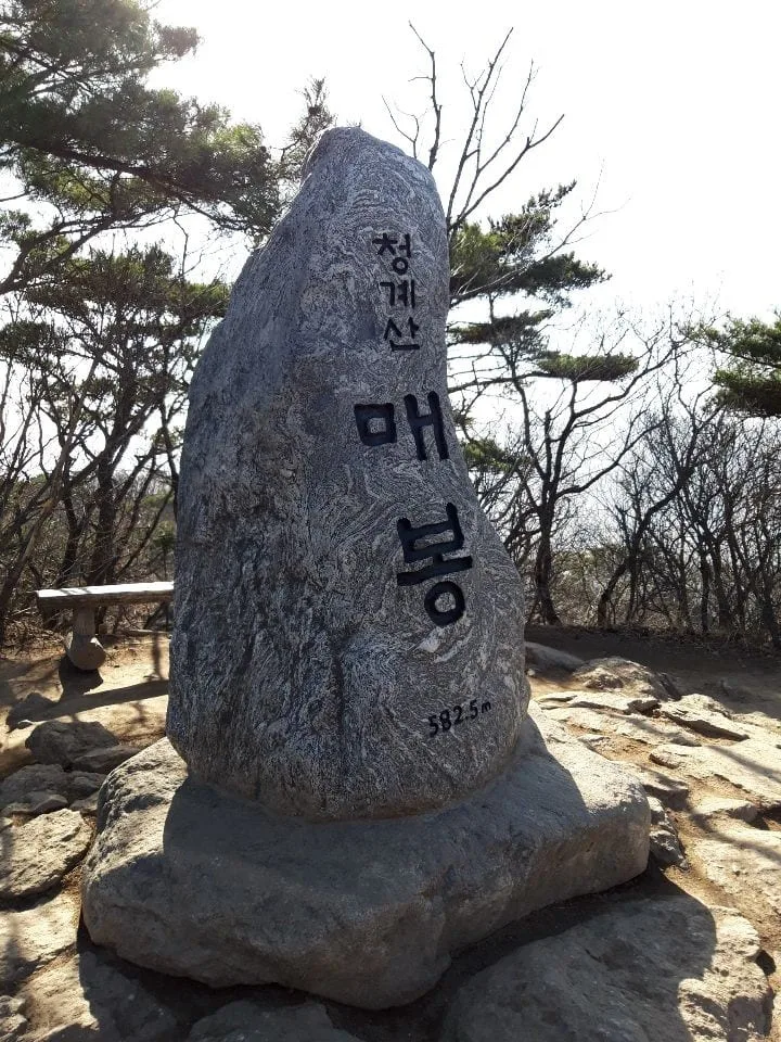 청계산-매봉-정상석이-놓여있다.