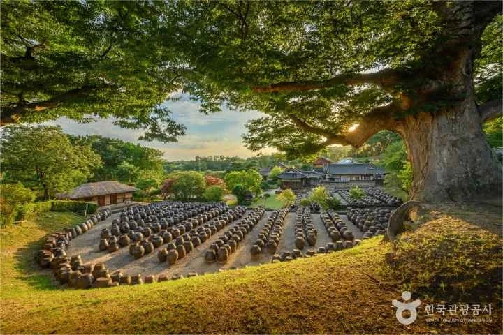 뜰에-수많은-장독대가-줄맞춰-서있다.