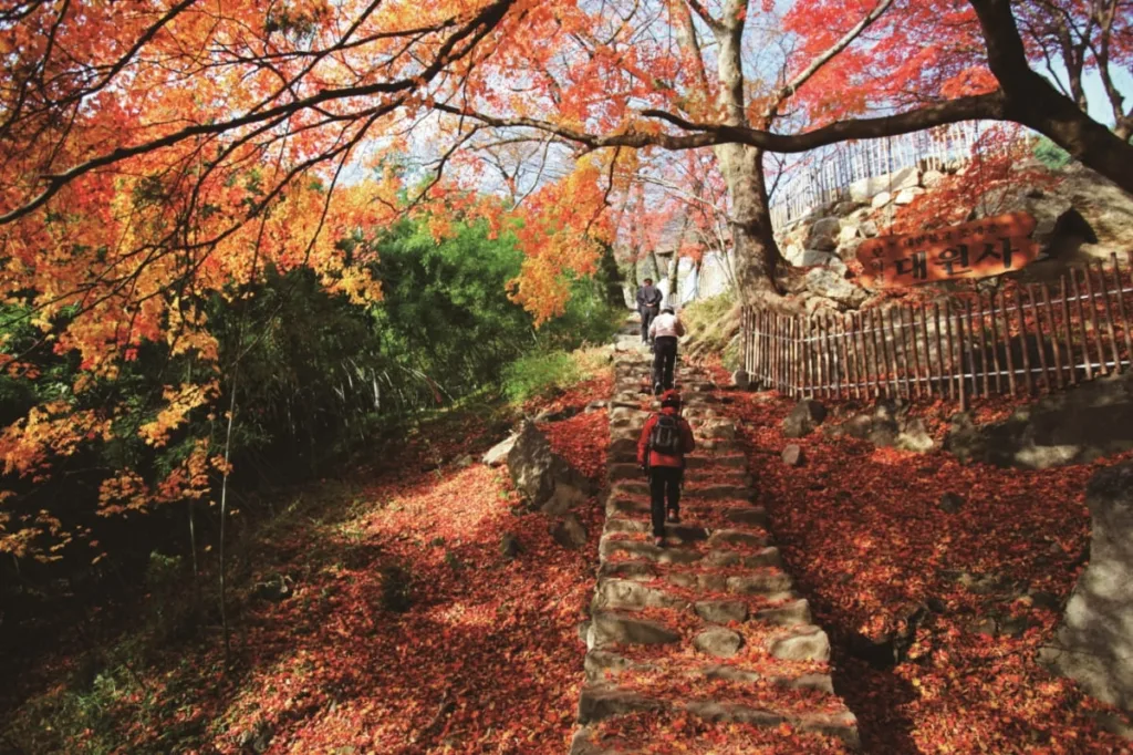 등산객들이-단풍진-모악산-돌계단-위를-걸어간다.