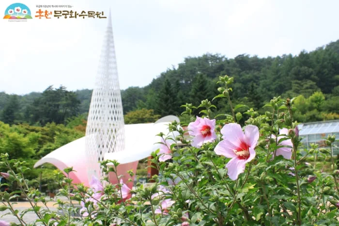 무궁화조형물-옆에-무궁화가-피었다.