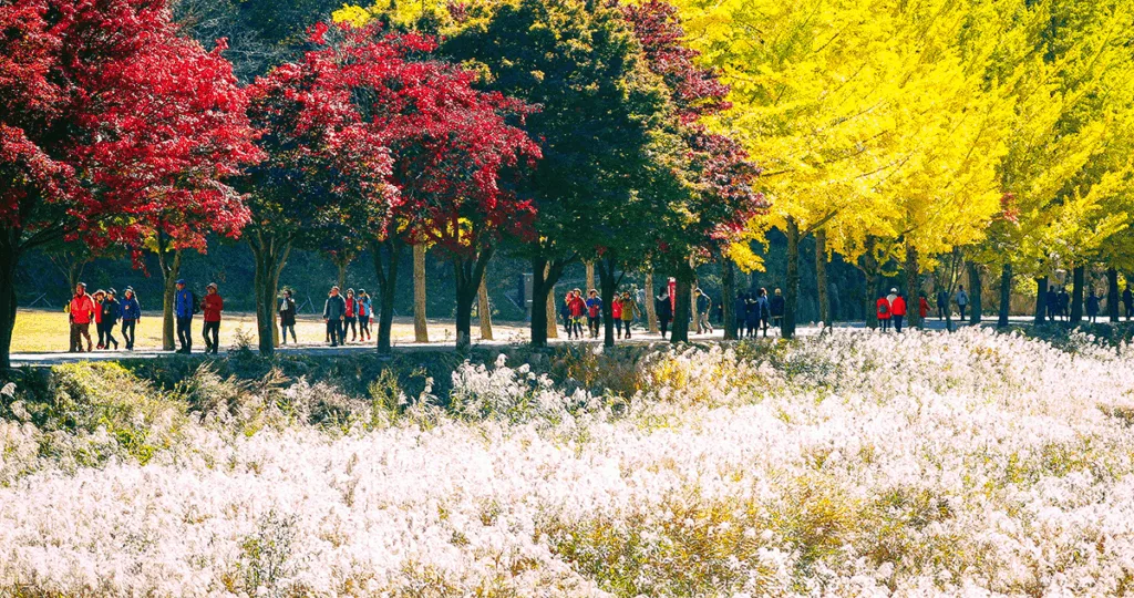 노을과-억새가-가득한-문경새재-내부를-등산객들이-걸어간다.