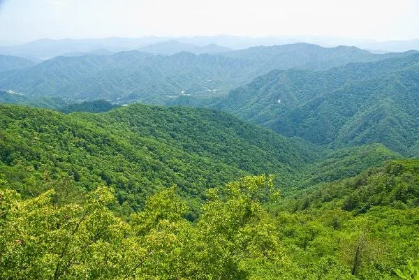 백덕산-및-인근-산맥의-모습