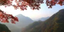 백암산-백학봉에서-바라본-단풍든-산의-모습