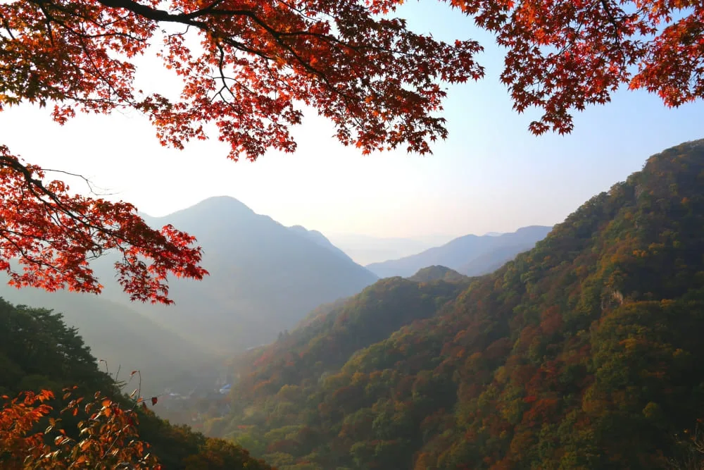 백암산-백학봉에서-바라본-단풍든-산의-모습