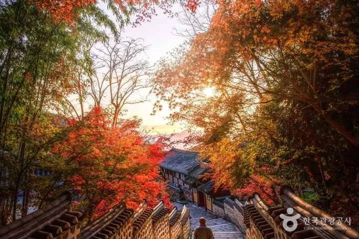 범어사-곳곳에-붉은-노을이-가득하다.