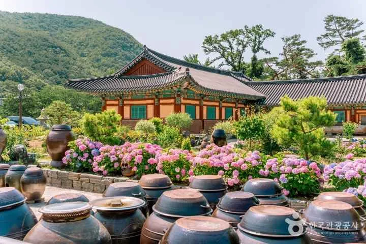 보경사-뜰에-장독대와-수국이-가득하다.