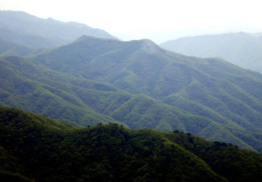복주산-산세가-드러난-전경