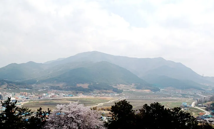 벚꽃-핀-봄의-방장산-전경