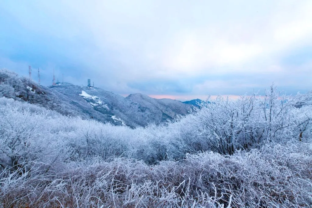 팔공산-비로봉에-눈이-하얗게-쌓였다.