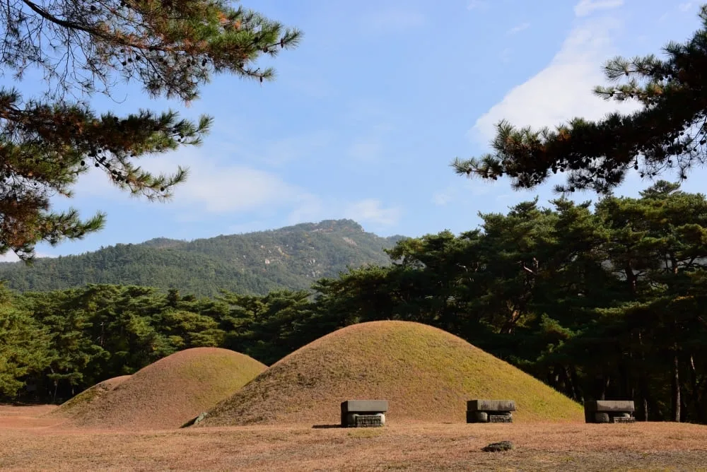 푸른-하늘-아래-경주-삼릉이-솟아있다.