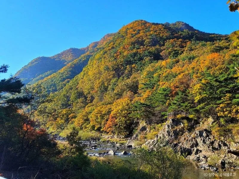 계곡-옆-백화산이-단풍으로-알록달록하다.